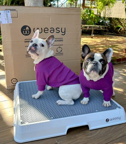 Customer photo review of Weasy Cão