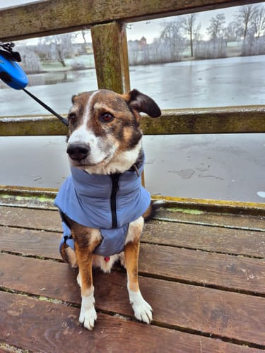 Customer photo review of Easy Squeezy