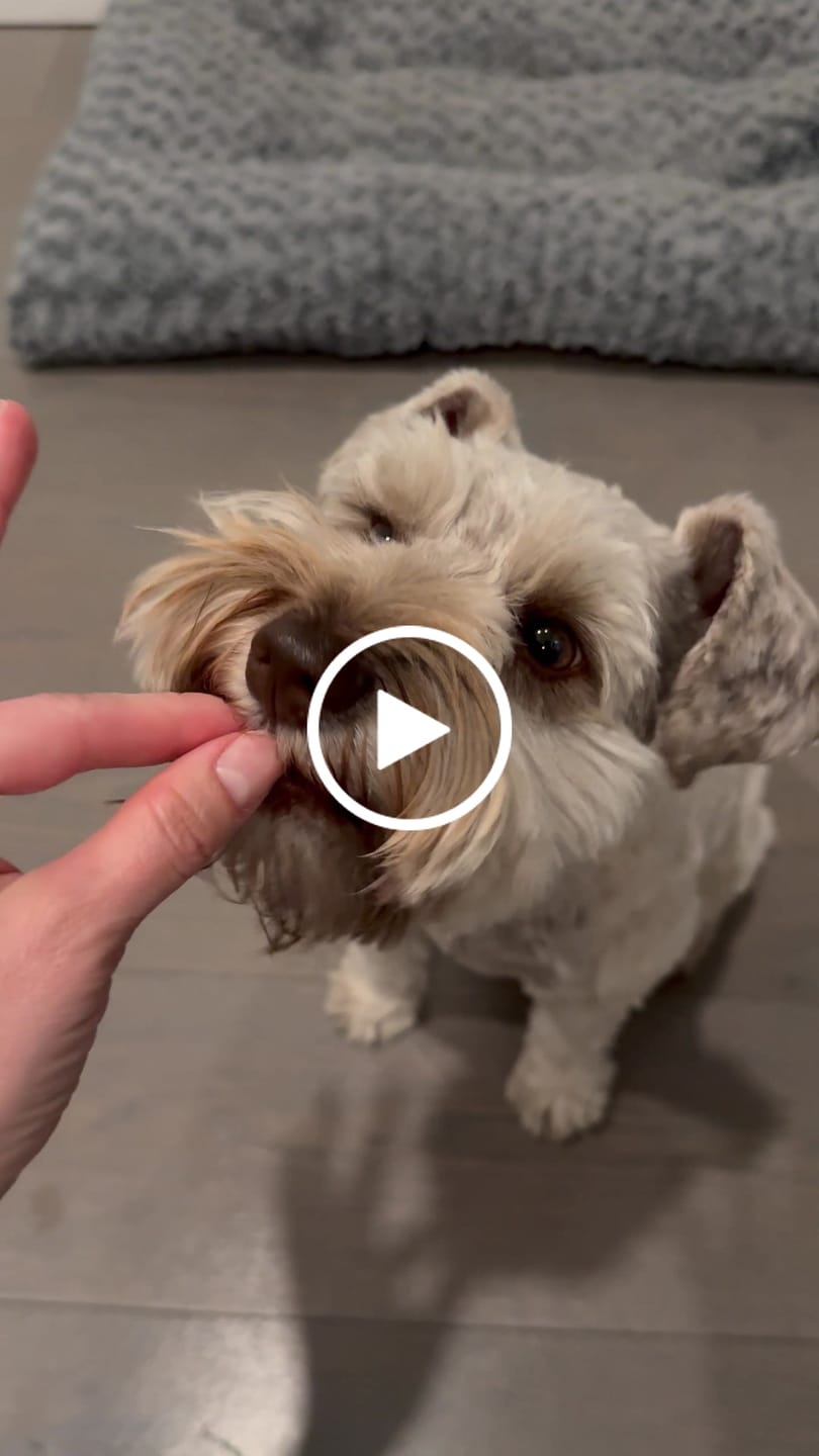 Customer video review of 5 Functional Treats for a Happier, Healthier Dog