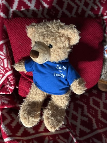 Customer photo review of Eddy The Teddy Bear