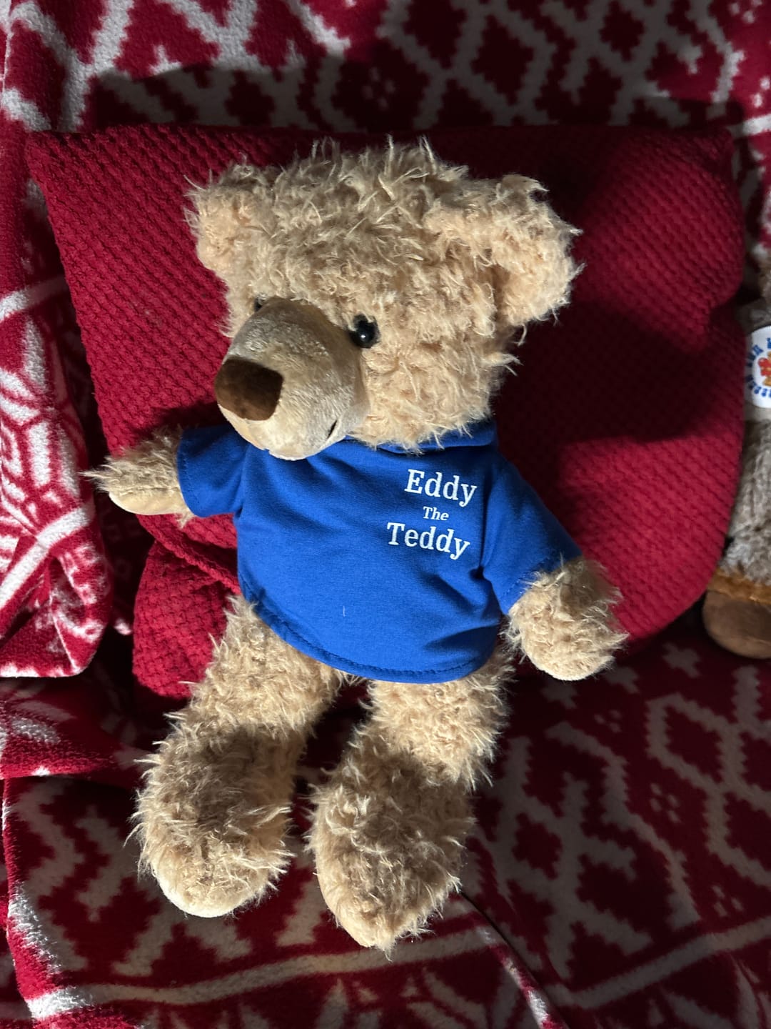 Customer photo review of Eddy The Teddy Bear