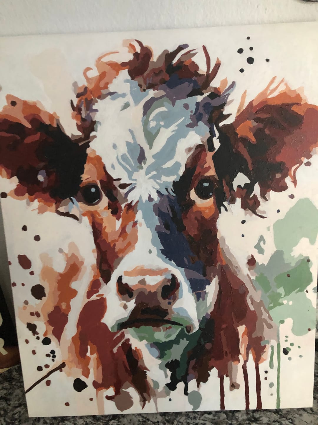 Customer photo review of Paint By Numbers - Portrait of a brown white cow