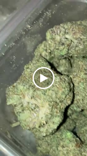 Customer video review of Greenhouse Smalls