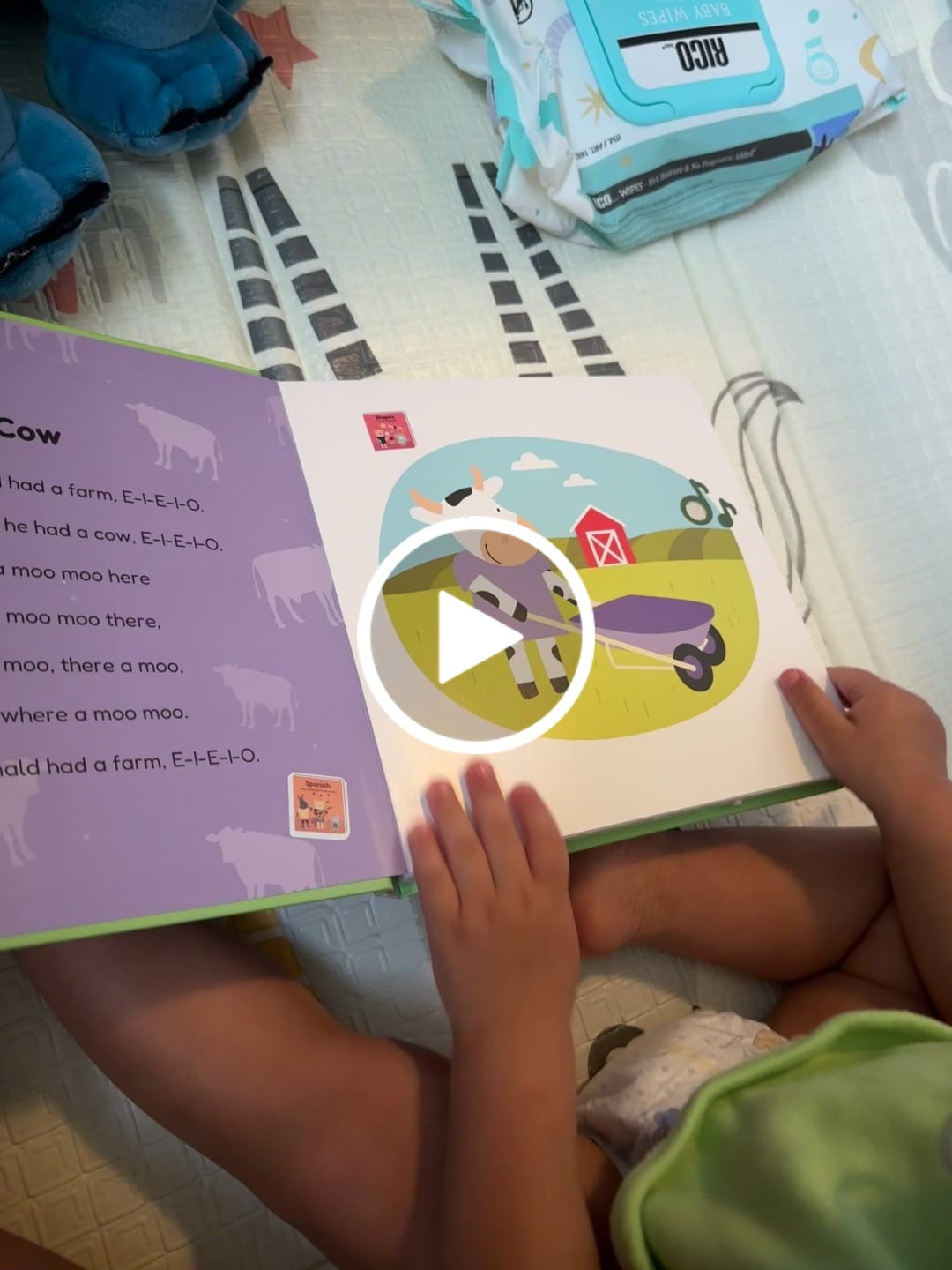 Customer video review of Old MacDonald - Rechargeable