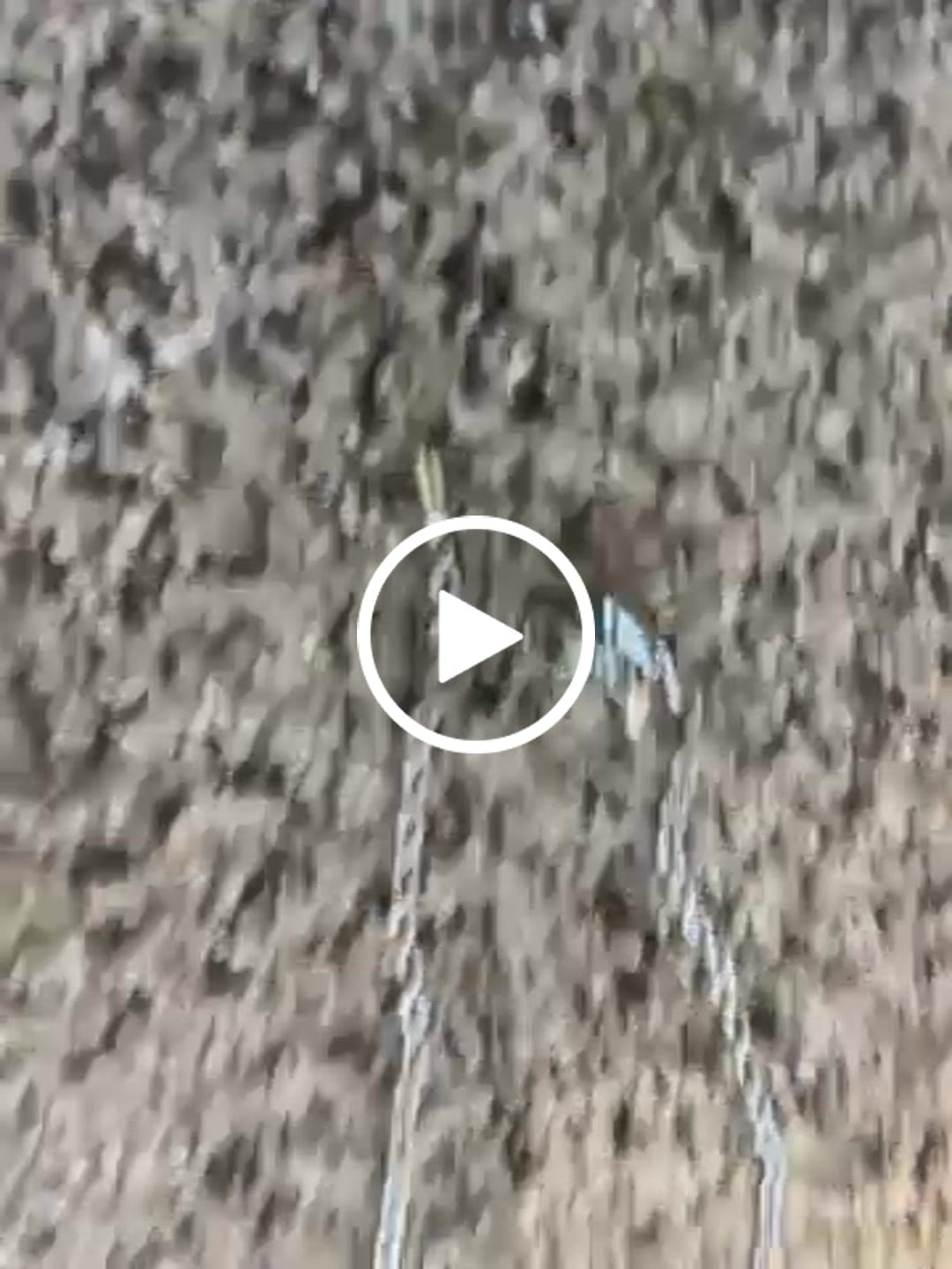 Customer video review of Rope Chain - Silver