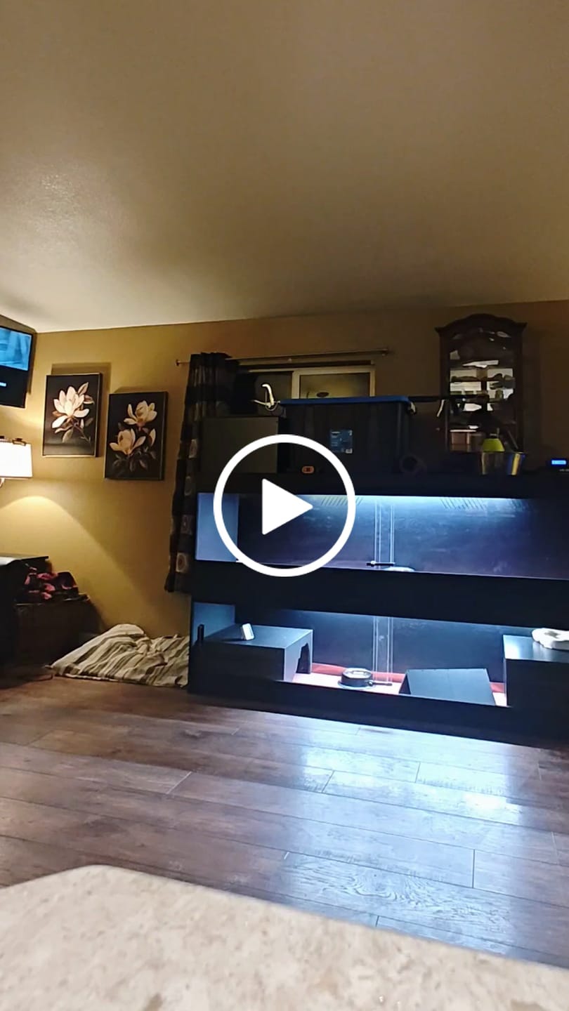 Customer video review of 84"x24"x24" / 7'x2'x2' Premium PVC Reptile Enclosure
