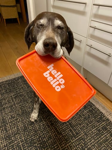 Customer photo review of Frischfutter für Energiebedarf von 1201 kCal/Tag