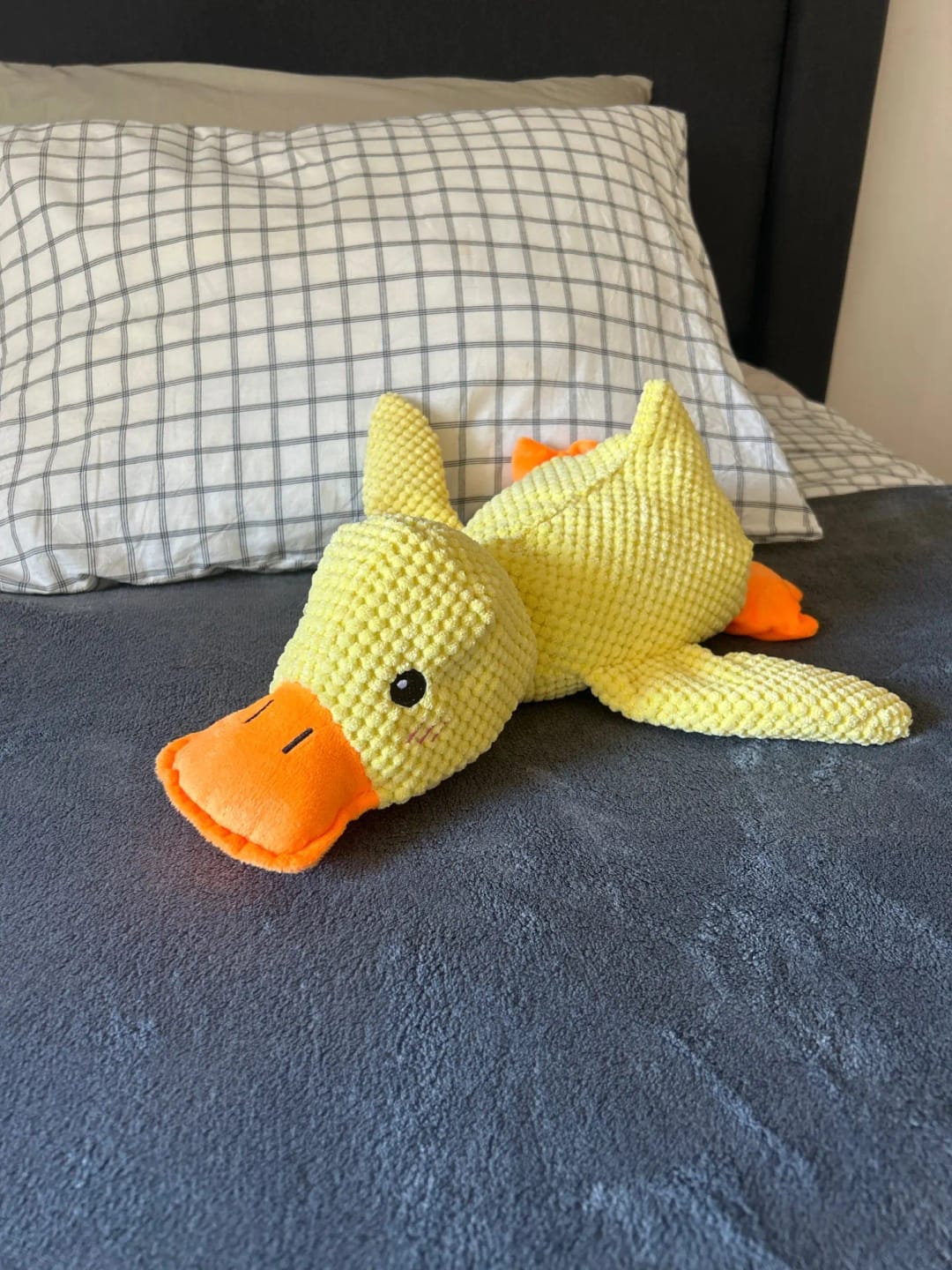 Customer photo review of Dog Calming Plush Duck Stuffed Chew Toy