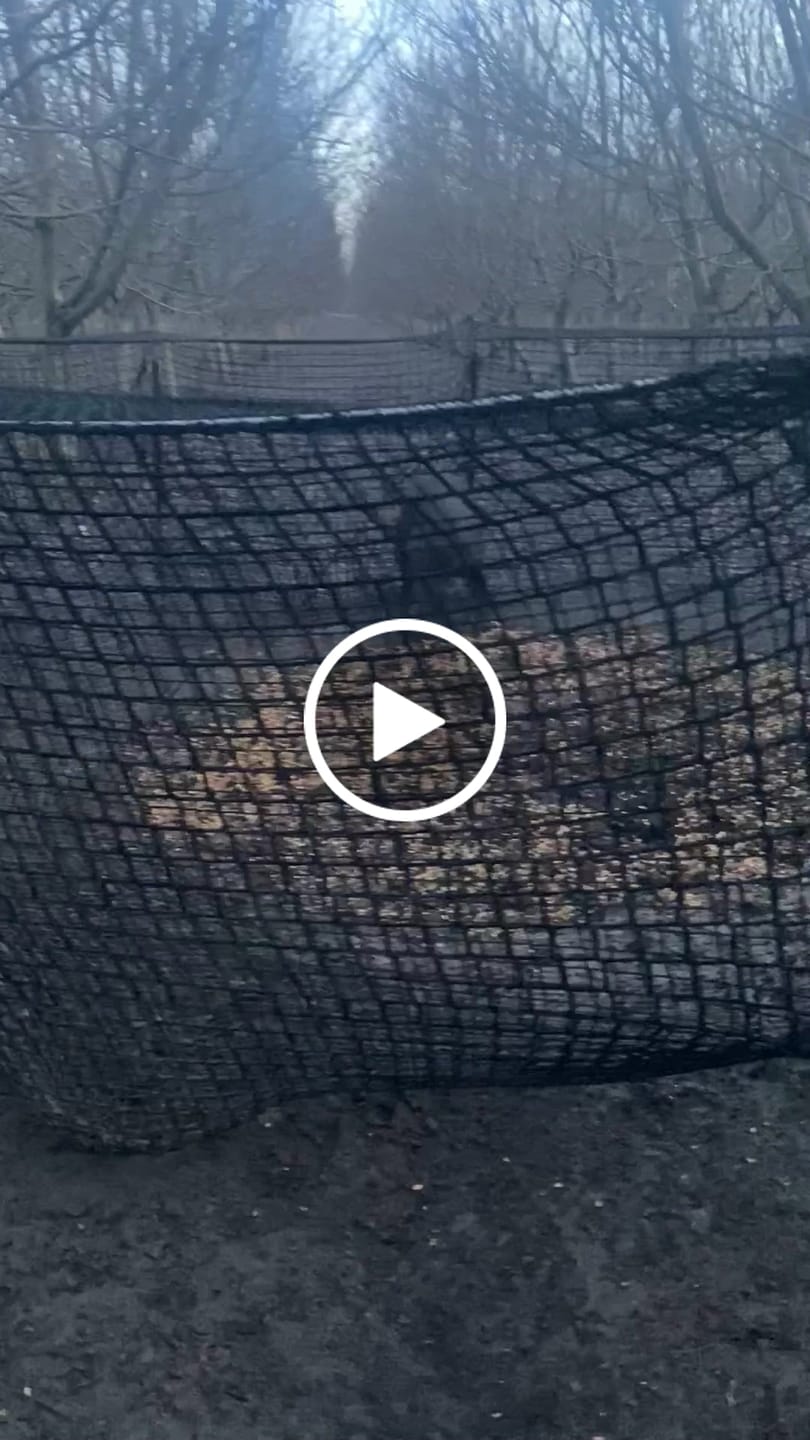 Customer video review of Pig Brig Trap System