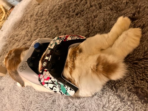 Customer photo review of 【PS5 | PC】TERU x Void Gaming コラボコントローラー TERUコン