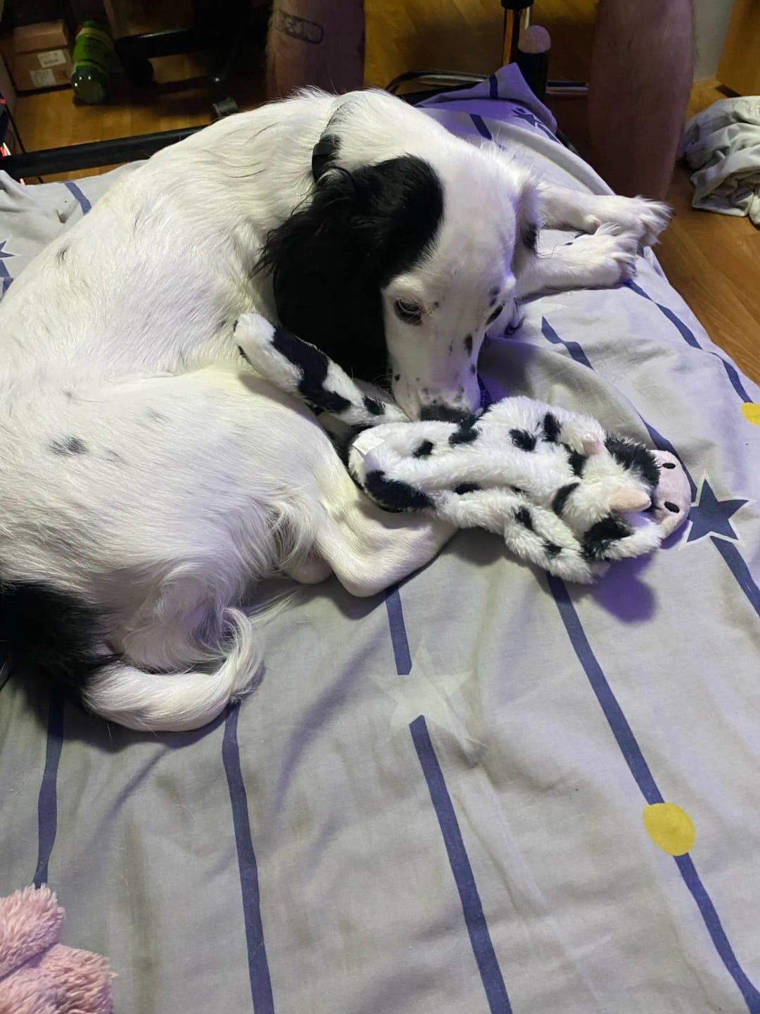 Customer photo review of Simulated Animal Stuffingless Plush Squeaky Dog Toy