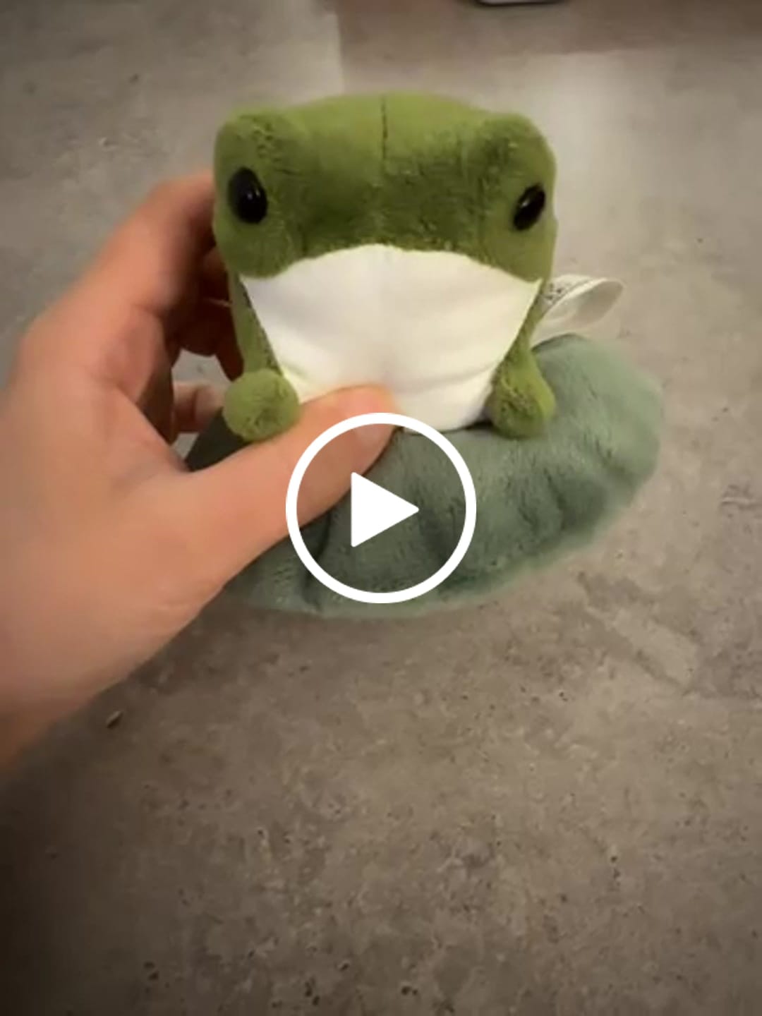 Customer video review of Henry The Frog Sitting On Lily Pad