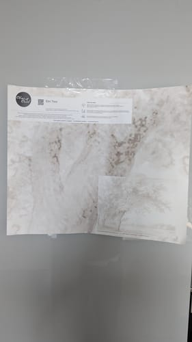 Customer photo review of Elm Tree Wallpaper Mural