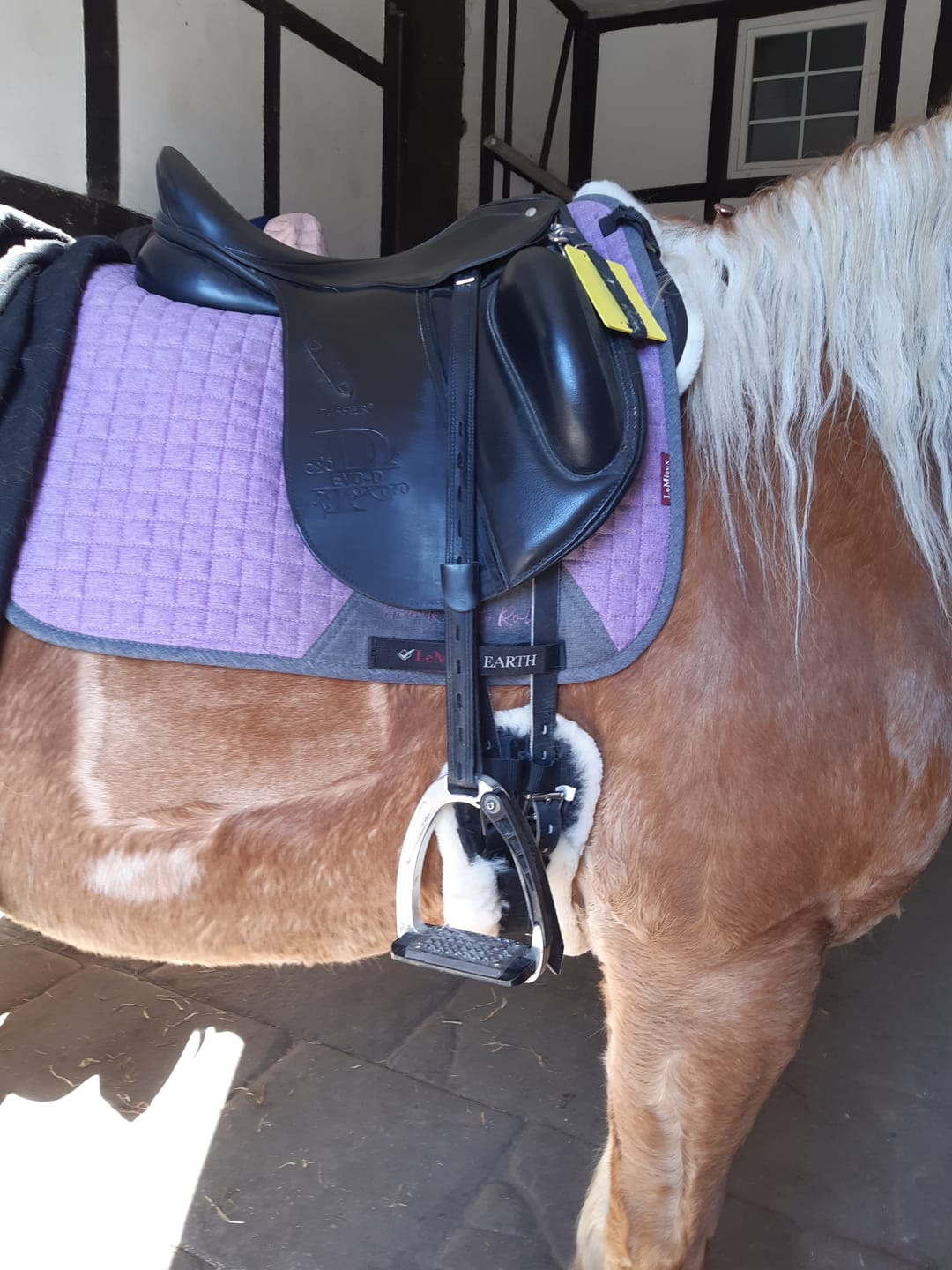 Customer photo review of Engel - Lammfell Sattelgurt Mondgurt 45 bis 70 cm