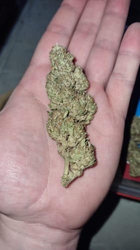 Customer photo review of Cinderella CBG Ökopack