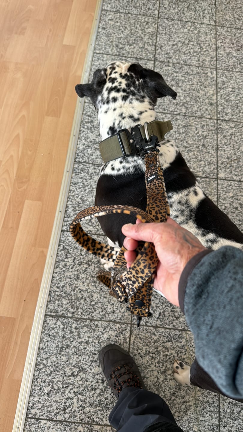 Customer photo review of Multileash Leopard - Multifunktionellt