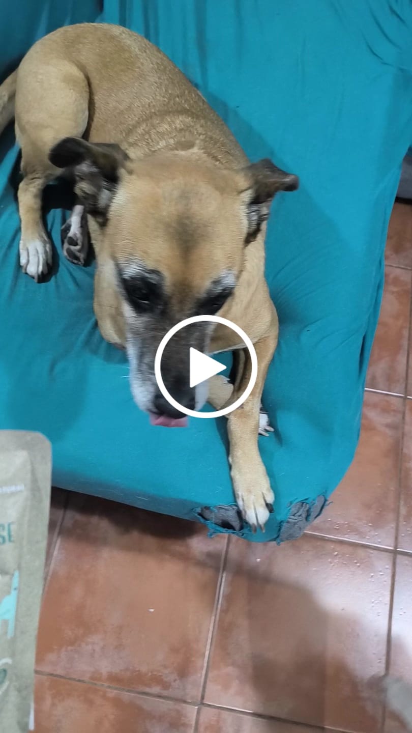 Customer video review of Pork Paradise Pouch