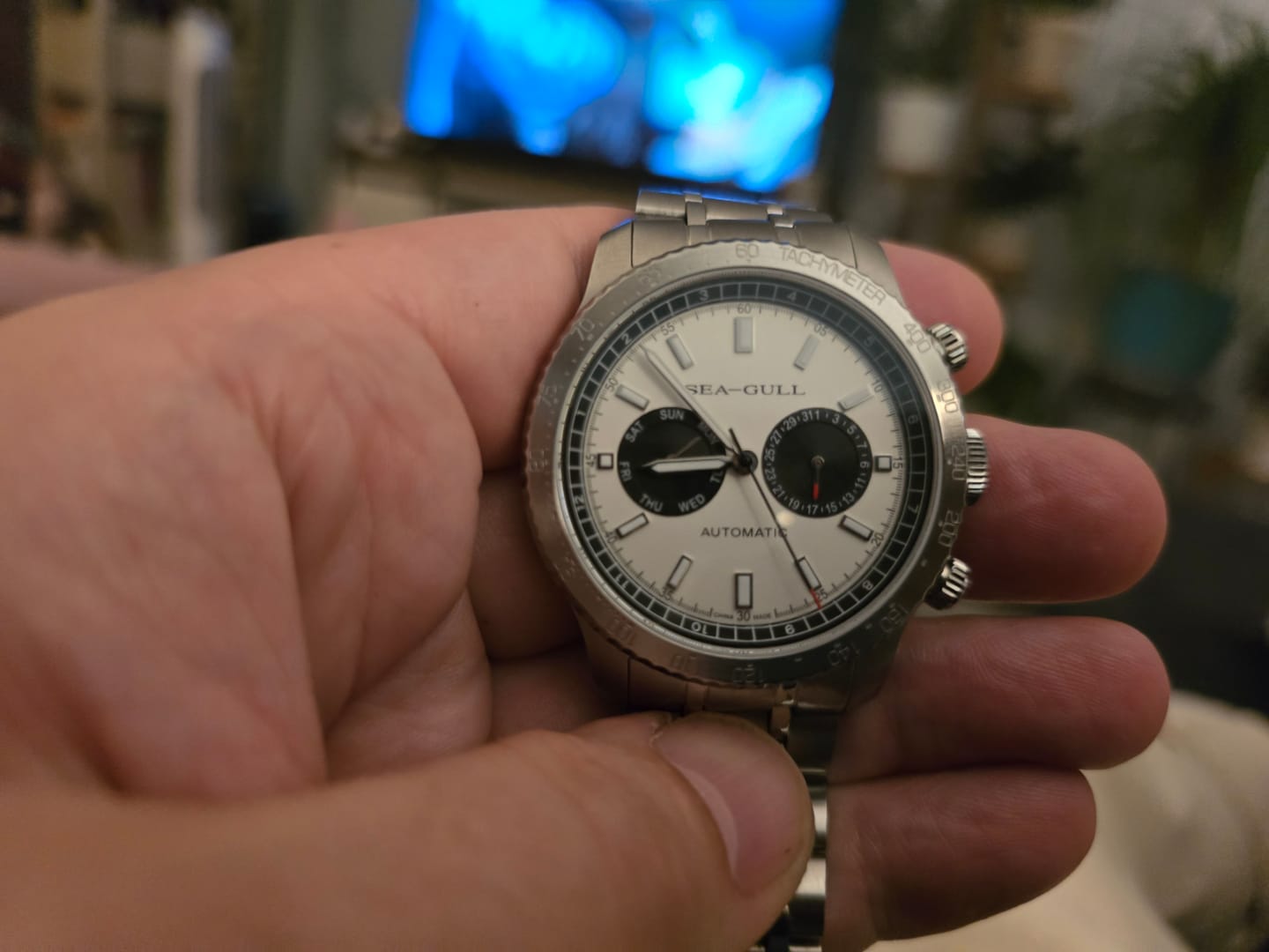 Customer photo review of Panda Eye | GMT | Dual Calendar | Tachymeter | 43mm