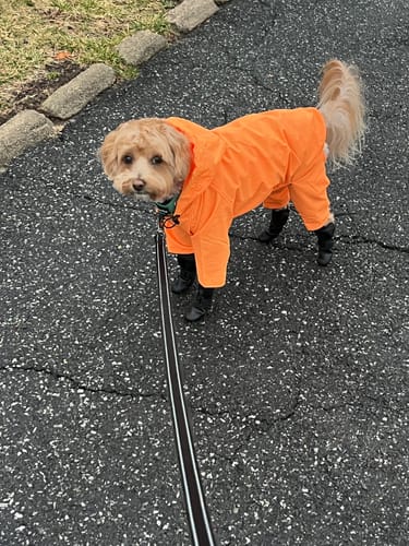 Customer photo review of Nylon Coverall