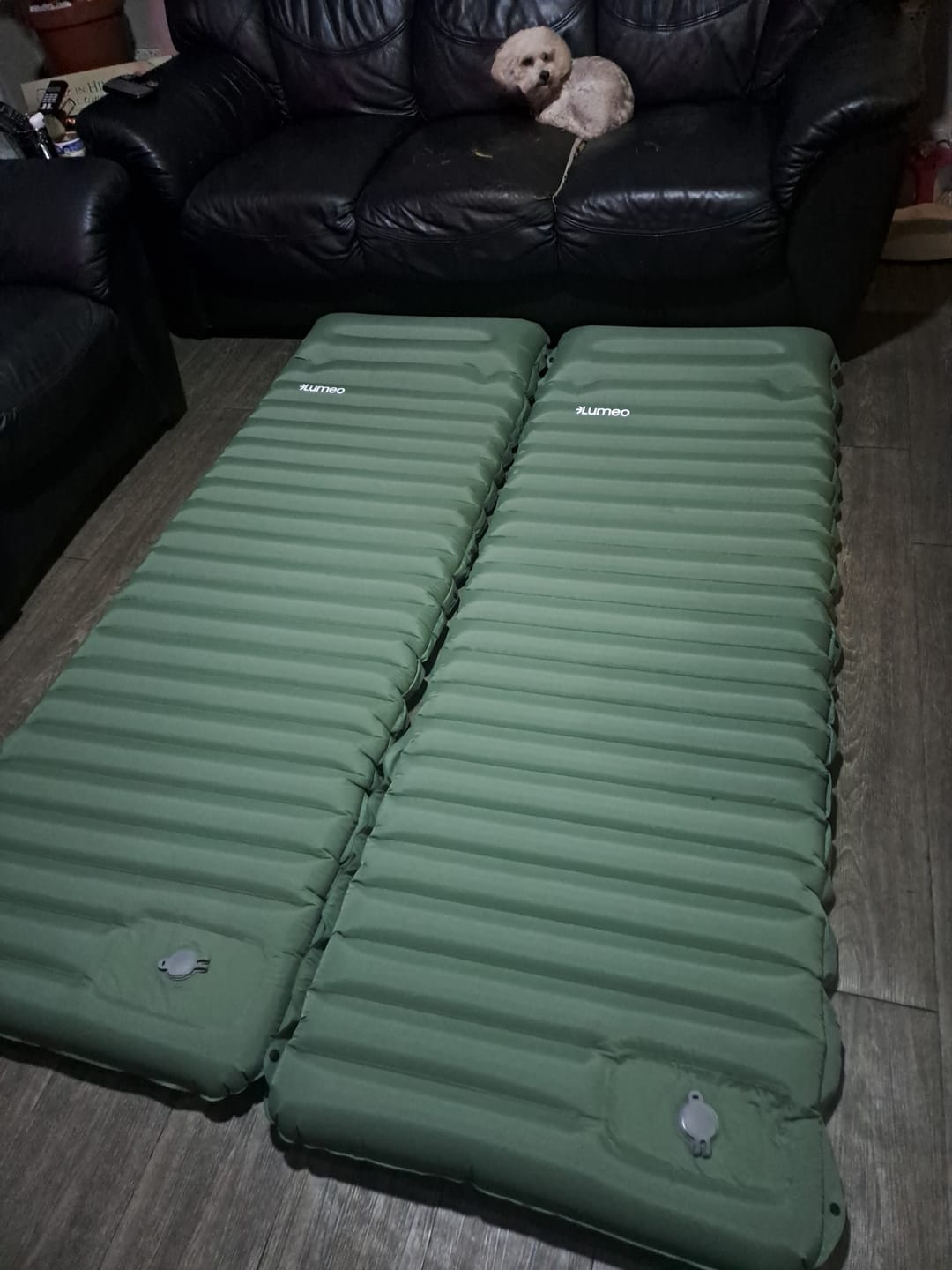 Customer photo review of Lumeo EasySleep Air Bed - SPECIAL OFFER