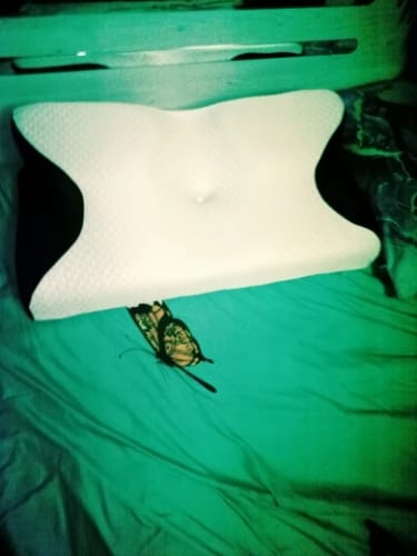 Customer photo review of Ultimate Ergonomic Neck Pillow - 2-in-1 Contour Memory Foam Support for Pain Relief