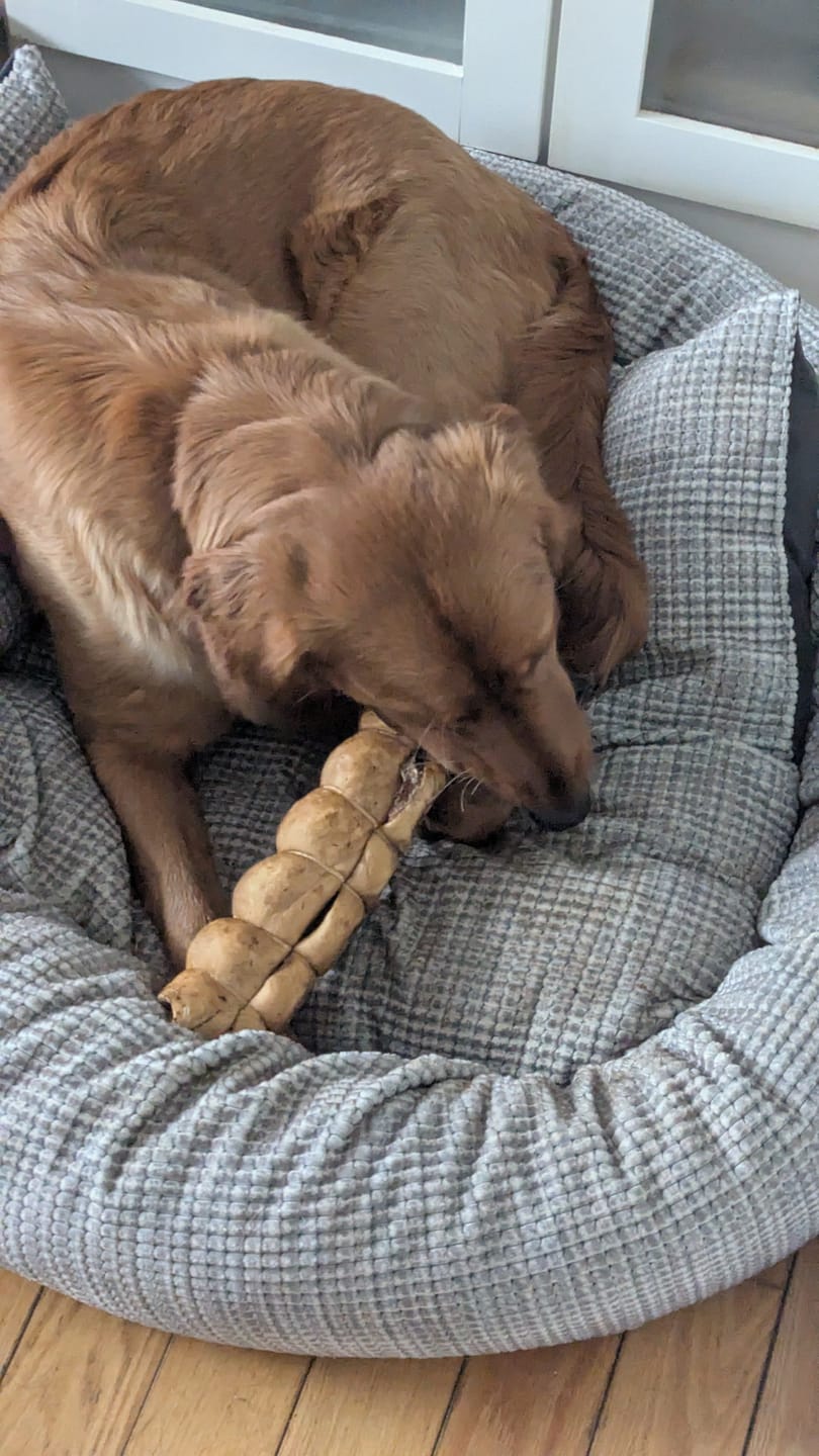 Customer photo review of 10-12 Inch Peanut Butter Cheek Roll