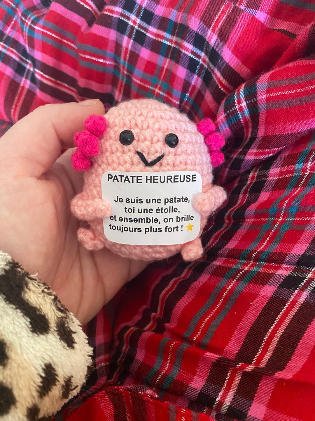 Customer photo review of Rosalie 🌷