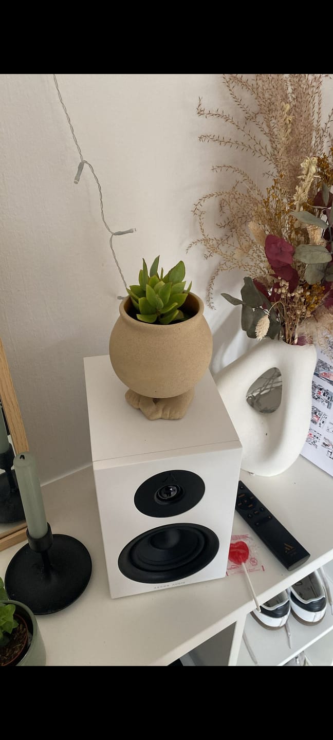 Customer photo review of FORUS 4