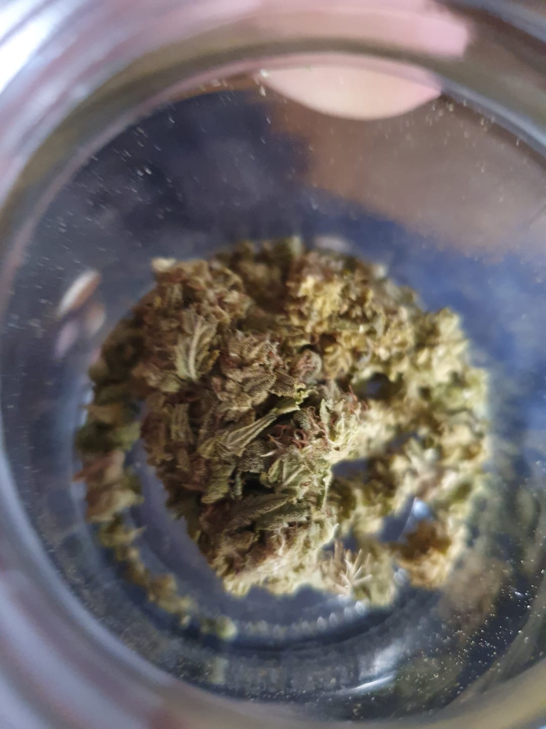 Customer photo review of 🍉 Melon Kush - POWER LVL: 4/5