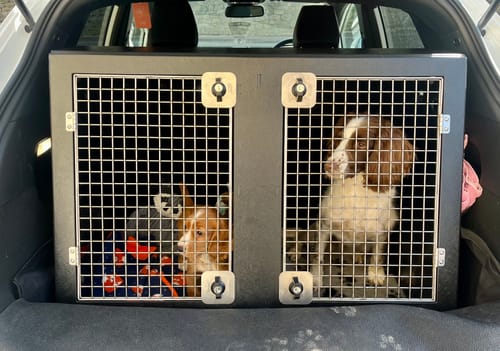 Customer photo review of Ford Puma | 2019- Present | Dog Travel Crate