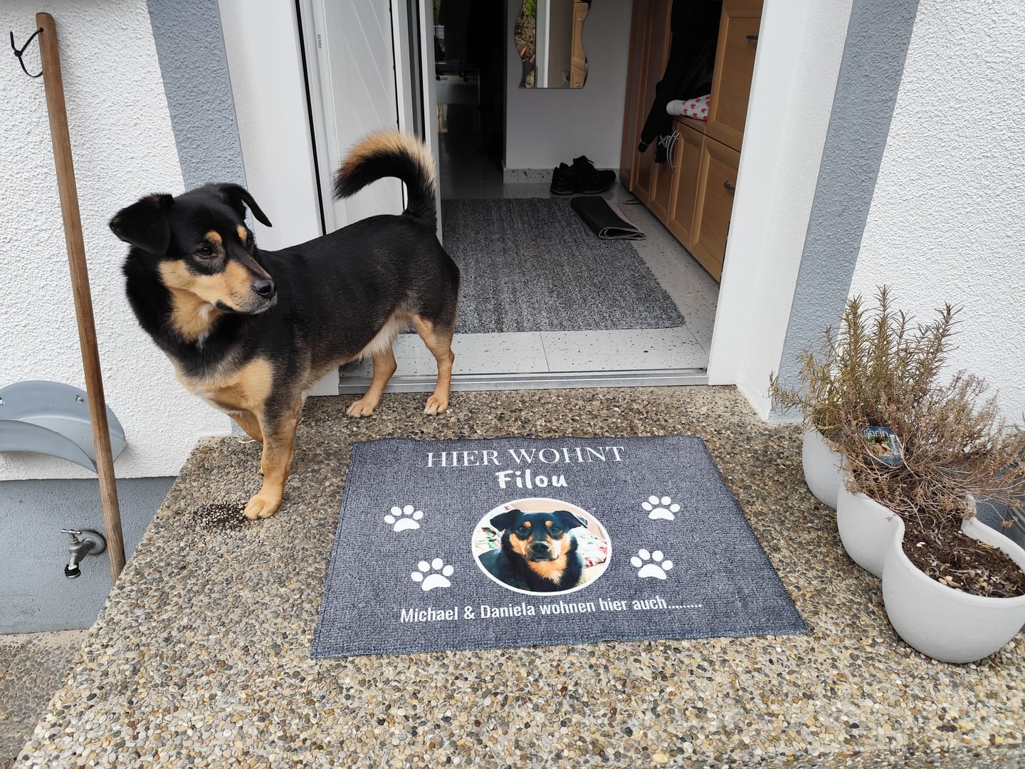 Customer photo review of Hier wohnt - Individuelle Haustier Fußmatte
