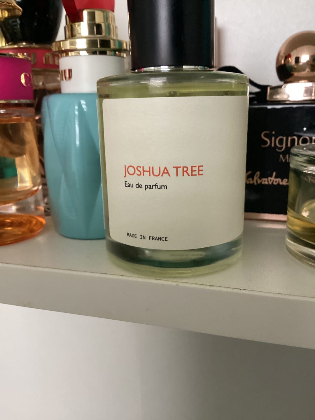 Customer photo review of Joshua Tree