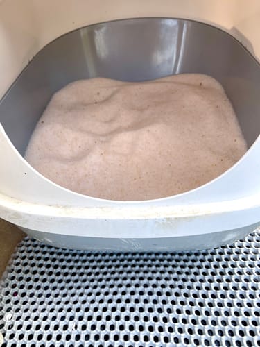 Customer photo review of 3 Month Supply - 2 Cats