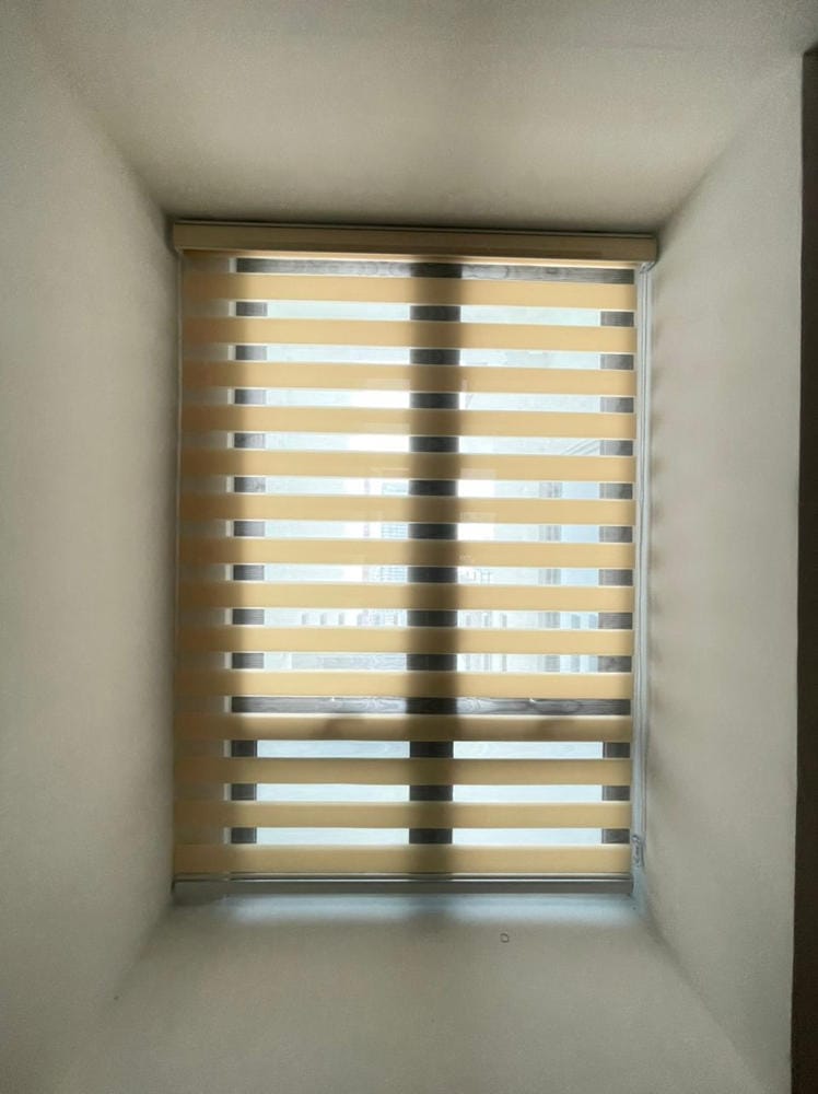 Customer photo review of Tisa Signature Light Filtering Zebra Blinds