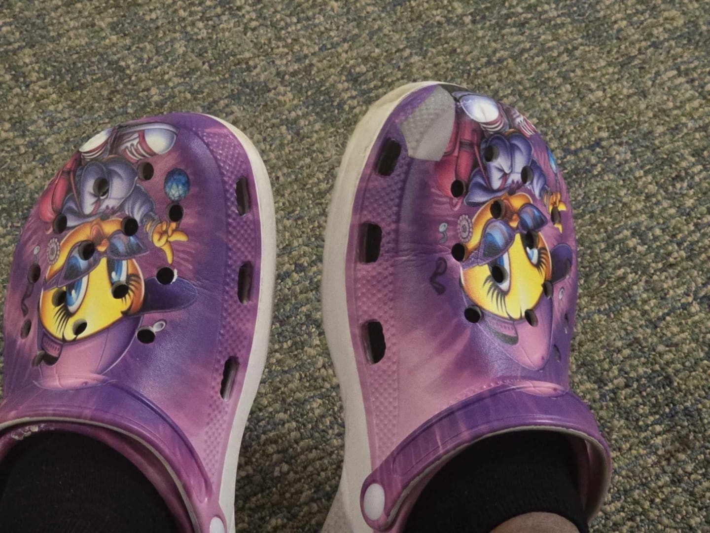 Customer photo review of Custom Your Own Clogs With Your Pet Photo