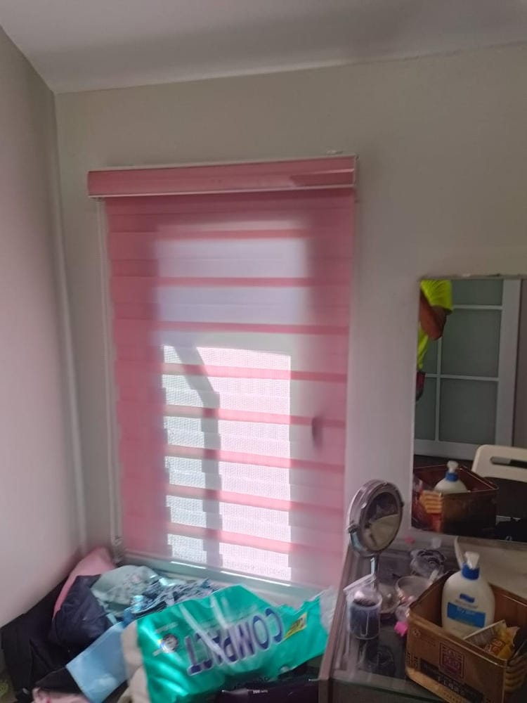 Customer photo review of Tisa Signature Light Filtering Zebra Blinds