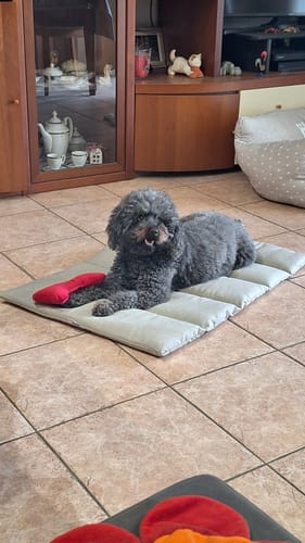 Customer photo review of Trapuntina Arrotolabile Mattias (Soft Touch) Verde chiaro