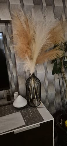 Customer photo review of Tall Nala Outline Vase - Black