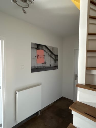 Customer photo review of Picasso hond (tekkel) 21e eeuw versie