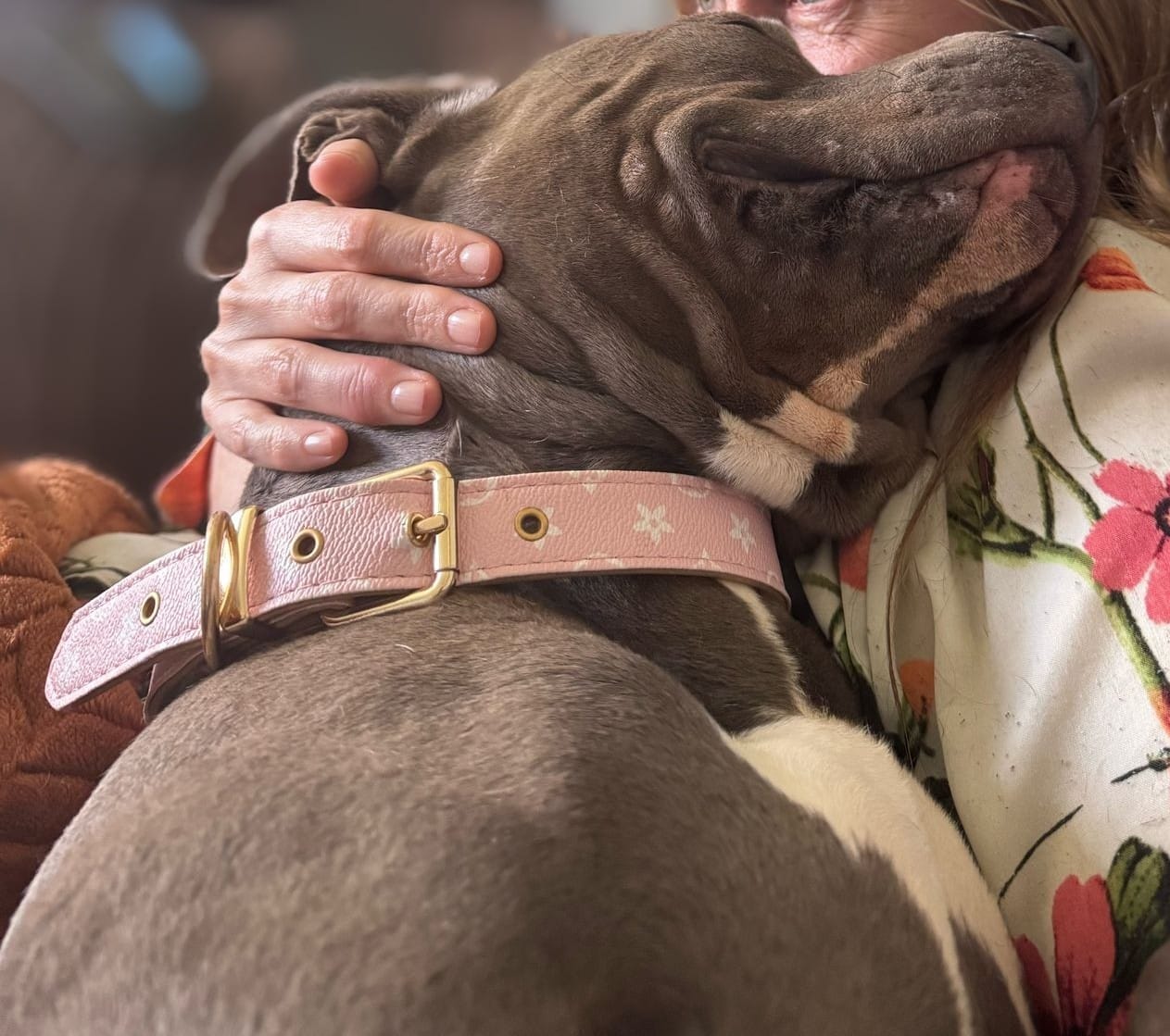 Customer photo review of Premium Vintage Leather Dog Collar