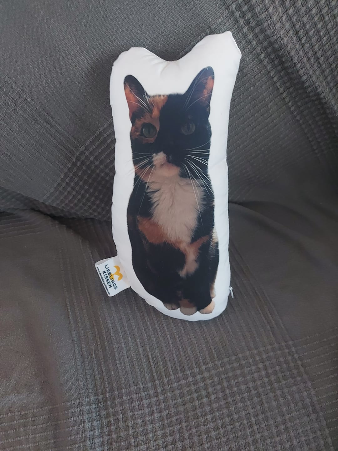 Customer photo review of Personalisiertes Katzenkissen