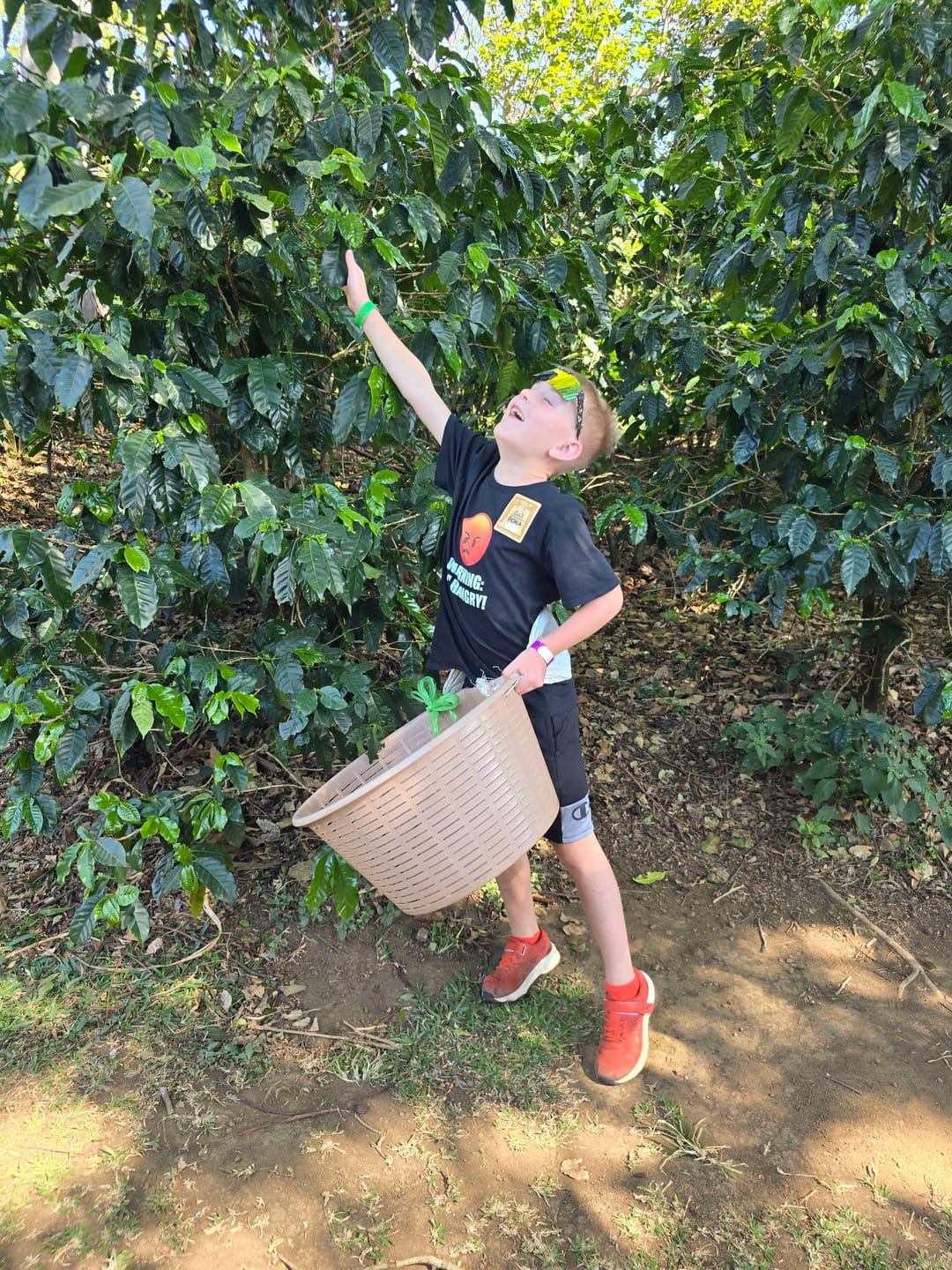 Customer photo review of Café Hacienda Doka Espresso Roast