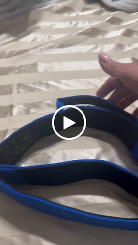 Customer video review of Blue Bully Proof Collar