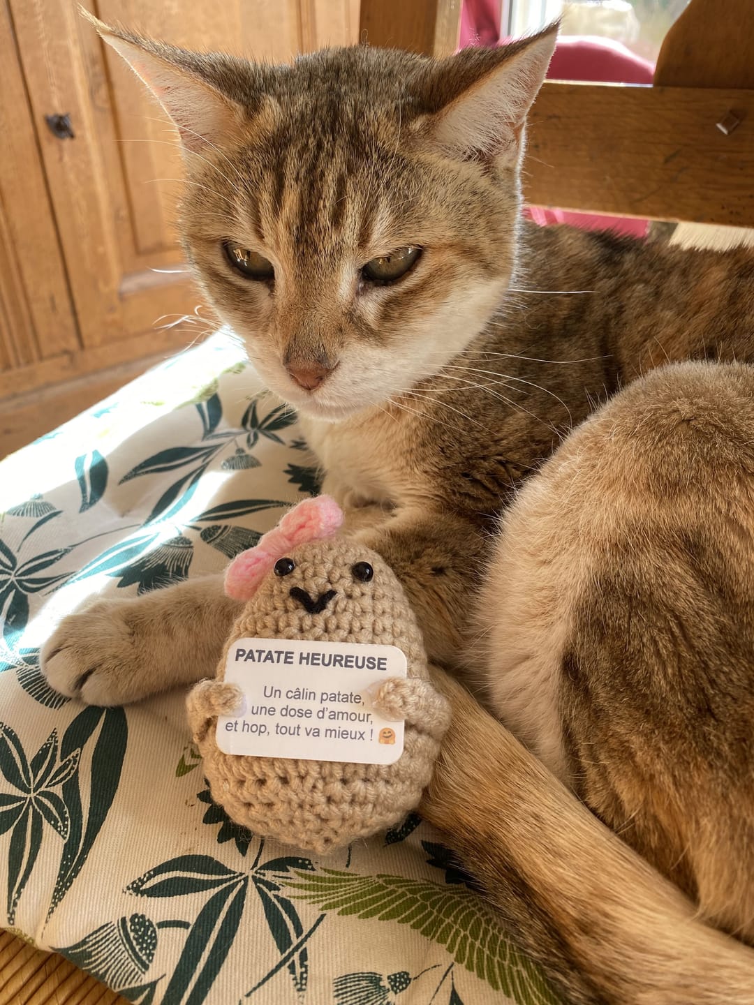 Customer photo review of Annette 💖
