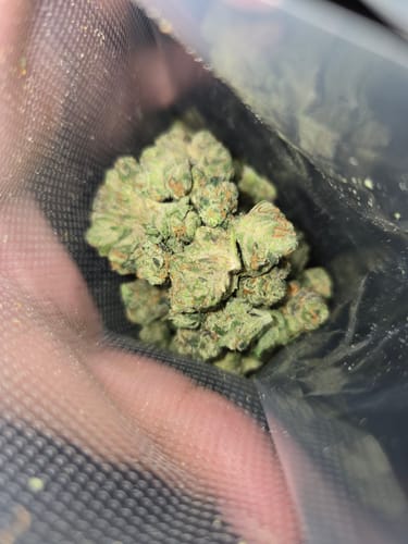 Customer photo review of MJ Mints Smalls
