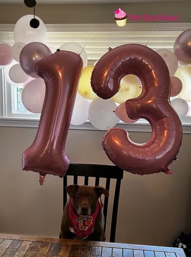 Customer photo review of SUPER Organic Coconut CBD Oil : 4 oz - 4,000mg : Anxiety & Calming Relief Blend