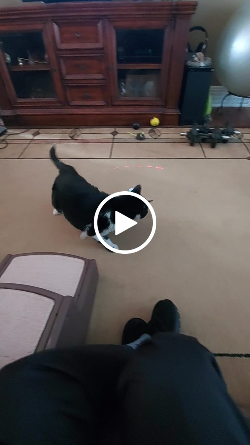 Customer video review of Cat Laxative & Constipation Remedy