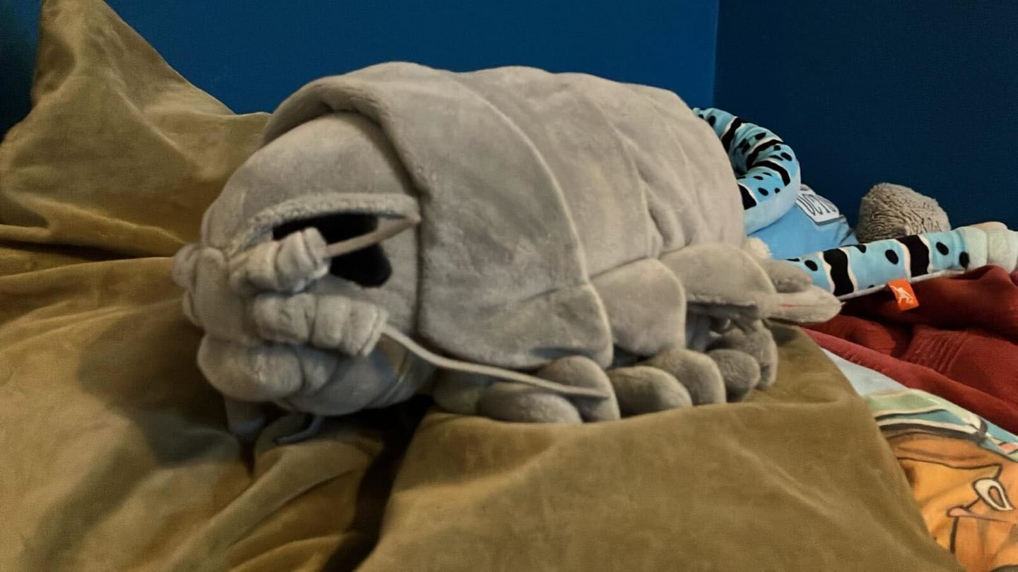 Customer photo review of Lifelike Giant Isopod Soft Stuffed Plush Toy