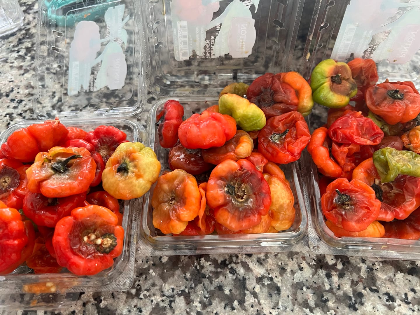 Customer photo review of Ají Cachucha, Ají dulce