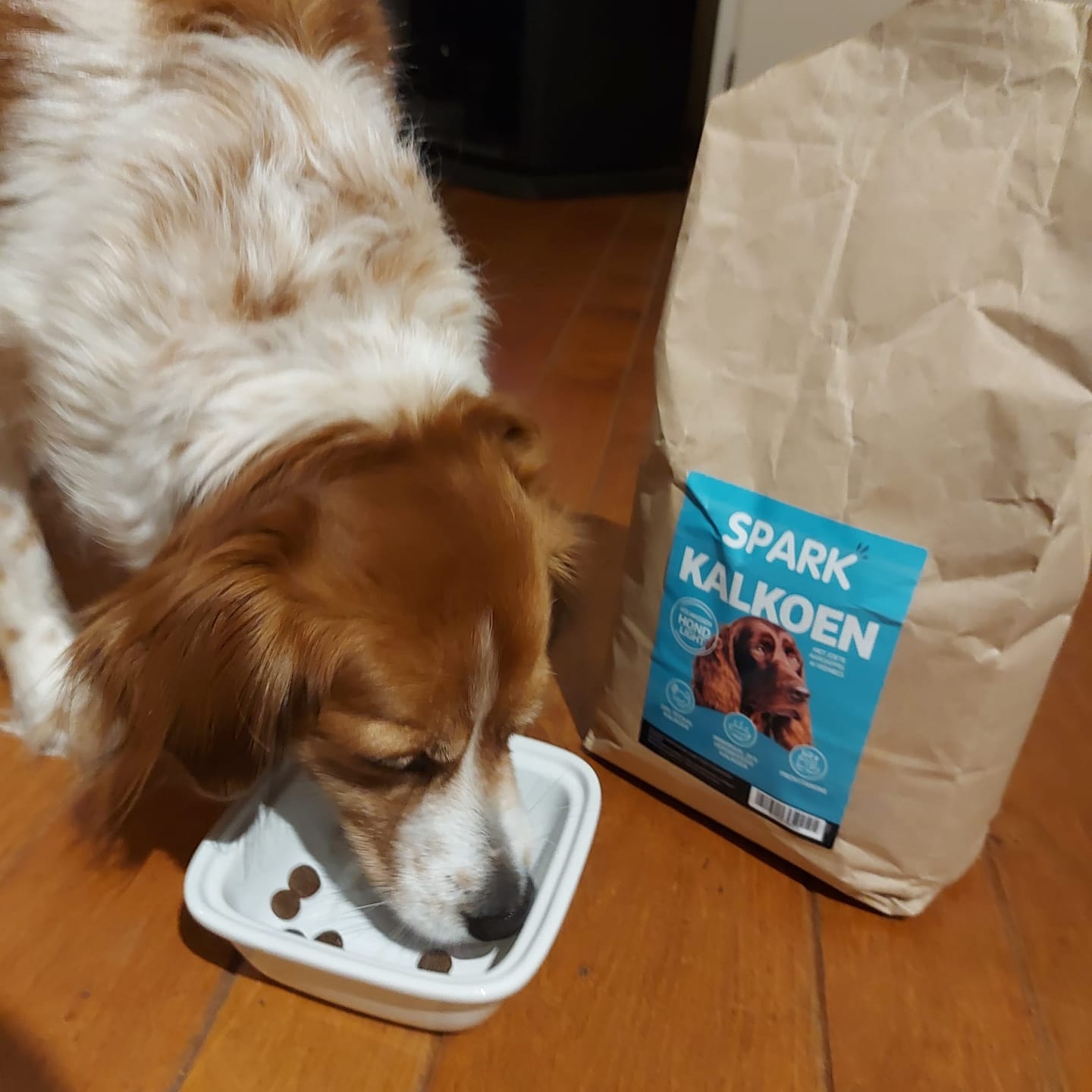 Customer photo review of Senior - Light - Kalkoen met Zoete Aardappel & Veenbes